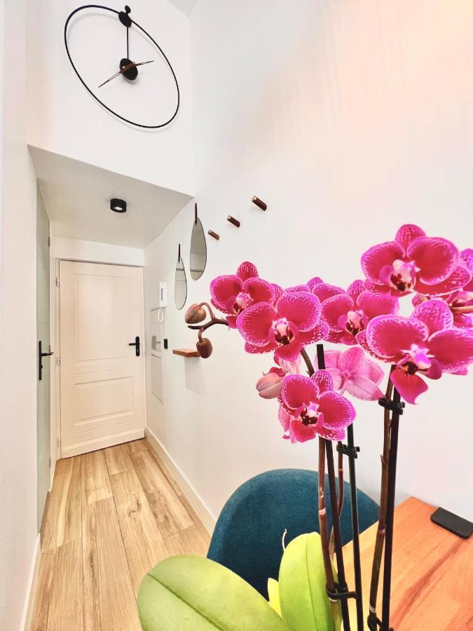 Appartement DUPLEX LE GESÙ - HEART OF OLD TOWN - MODERN - WiFi - CLIM à Nice Extérieur photo
